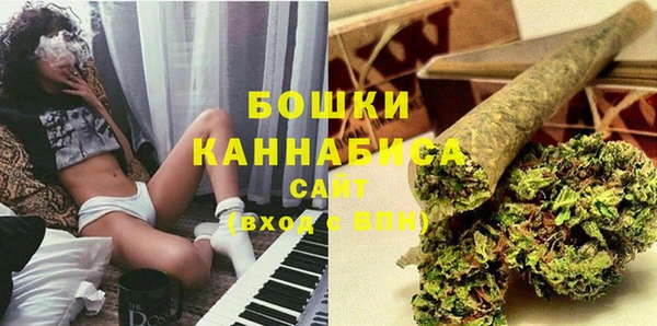 твердый Няндома