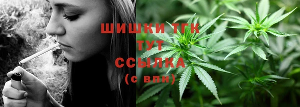 твердый Няндома