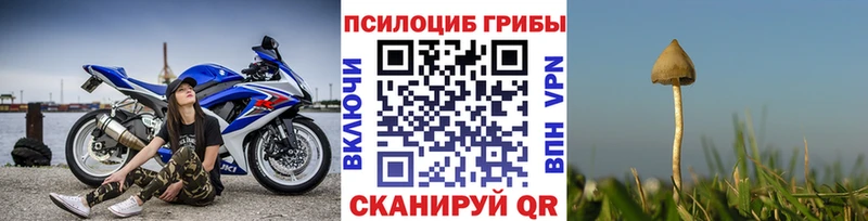 Купить где  Уфа  Псилоцибиновые грибы Psilocybe 